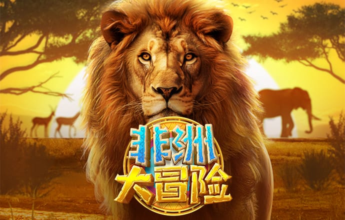 博尊官方网站下载手机版